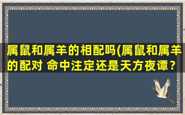 属鼠和属羊的相配吗(属鼠和属羊的配对 命中注定还是天方夜谭？)